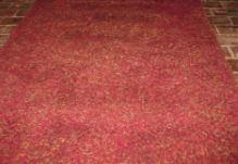 Ein Bild, das Boden, rot, drinnen, Läufer enthält.

Automatisch generierte Beschreibung